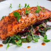 SALMON - Can't Mess It Up Salmon